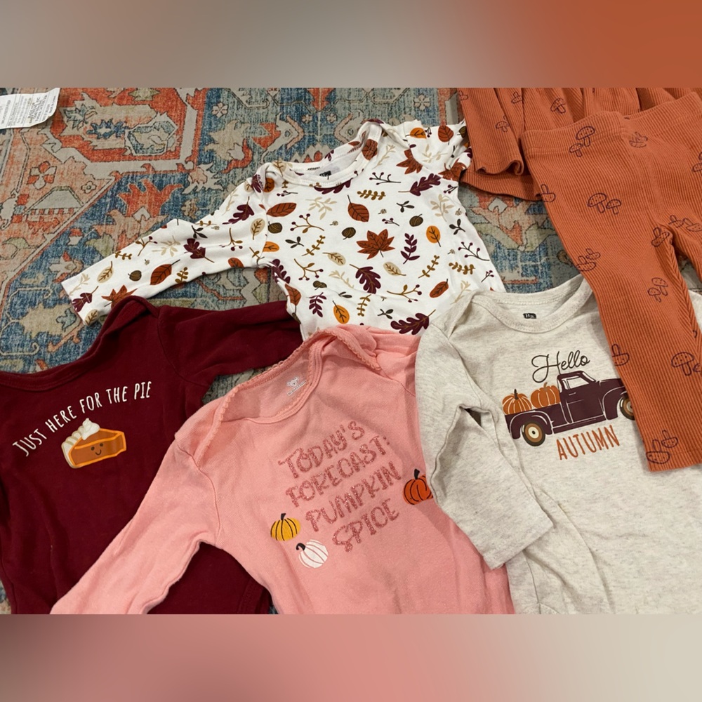 Fall clothes 9 months bundle